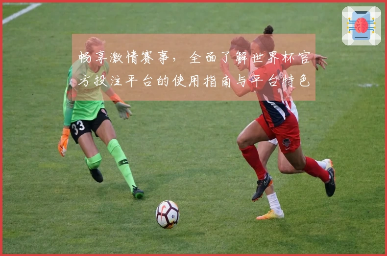 畅享激情赛事，全面了解世界杯官方投注平台的使用指南与平台特色