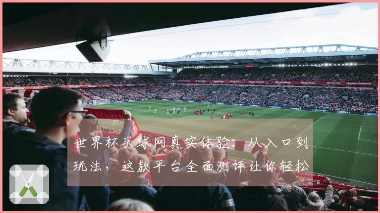 世界杯买球网真实体验：从入口到玩法，这款平台全面测评让你轻松上手