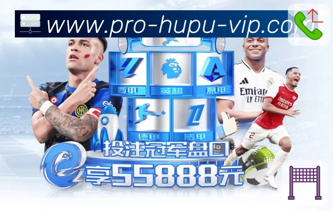 畅享激情赛事，全面了解世界杯官方投注平台的使用指南与平台特色